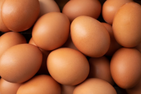 Директор птицефабрики в Оренбуржье назвал цены на яйца справедливыми.