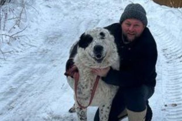 Вячеслав Симаков поделился видео с собакой, где отметил важность приютов для животных.
