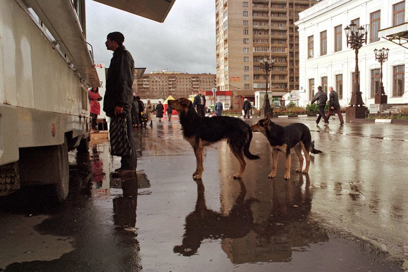 Октябрь 1998 г. Разъездной уличный фаст-фуд в районе. Скромно одетому человеку, ещё одной жертве кризиса, «датский хот-дог» или «французский хот-дог», что продавались в таких местах, часто оказывался не по карману.