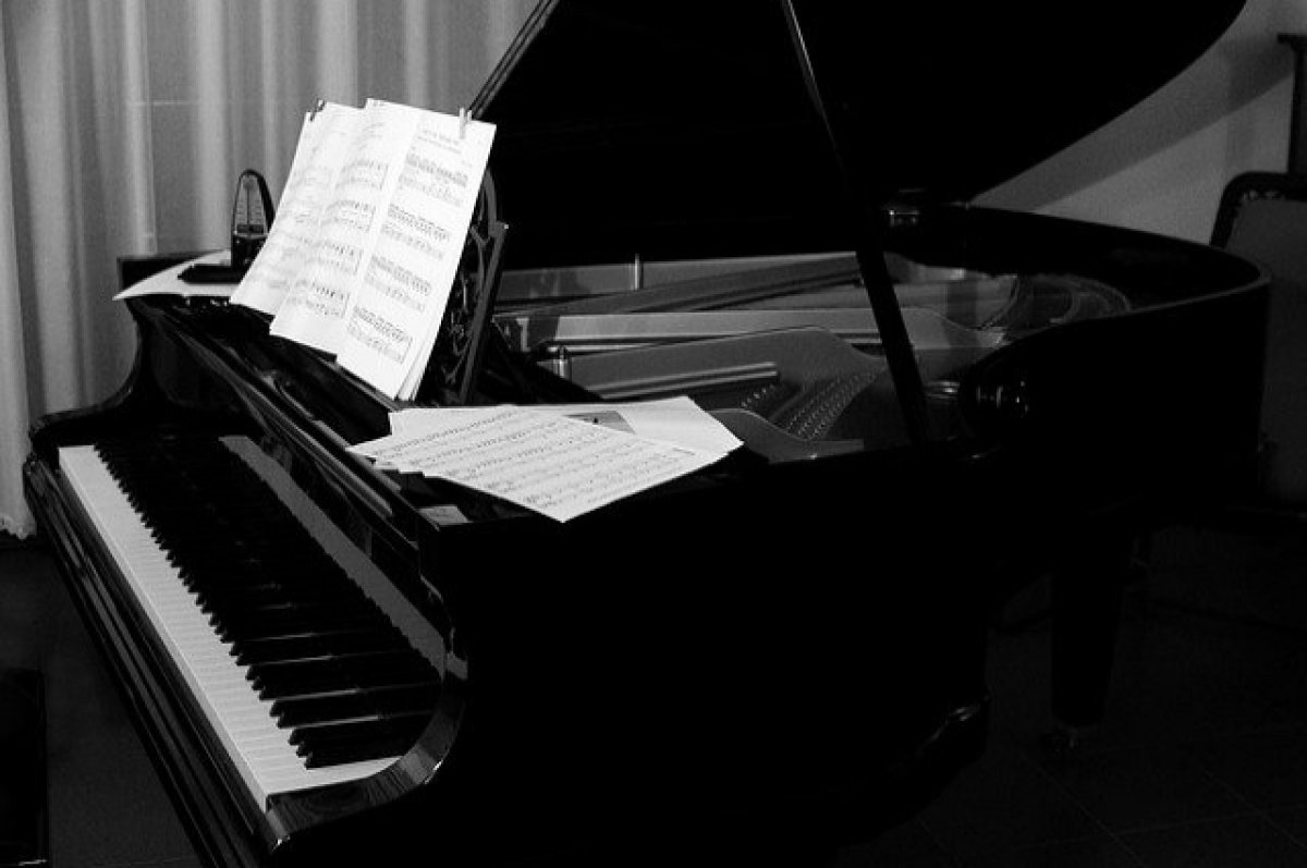 Mash: у пианиста Плетнева похитили рояль за 12,5 миллиона рублей