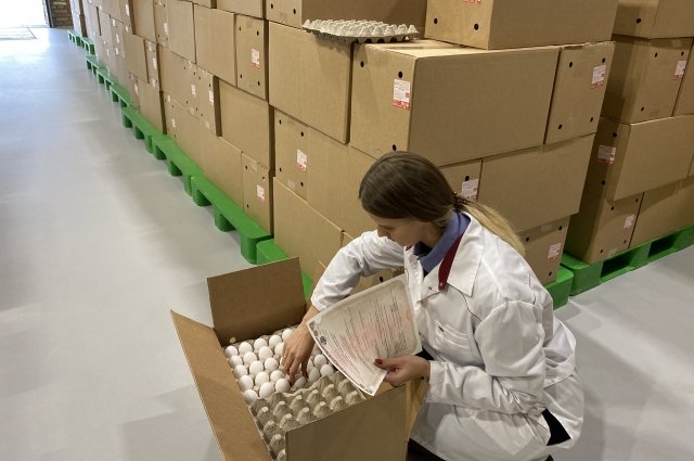 Россельхознадзор разрешает поставки столового яйца с ряда предприятий Турции.