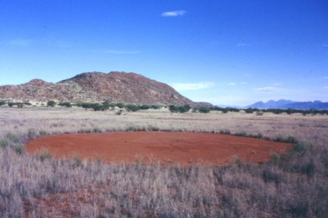 Одинокий круг фей в долине Мариенфлусс в Намибии.