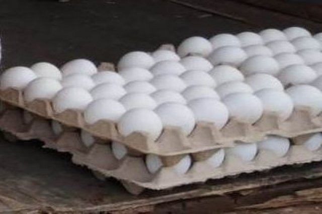 Оренбуржцы выстраиваются в очереди в ТЦ за яйцами