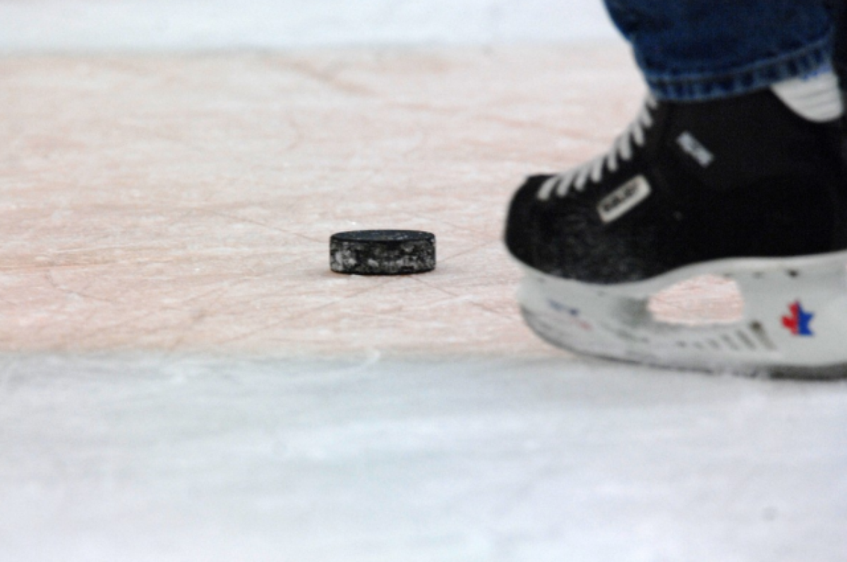 Хоккейный тренер на глазах у детей избил коллегу во время матча в Москве