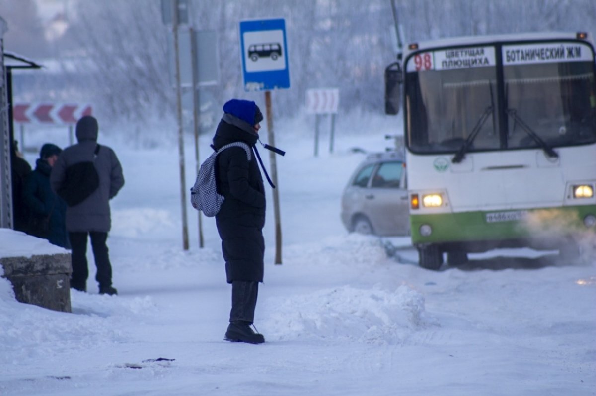 В Новосибирске дети смогут бесплатно ездить на общественном транспорте |  АиФ Новосибирск