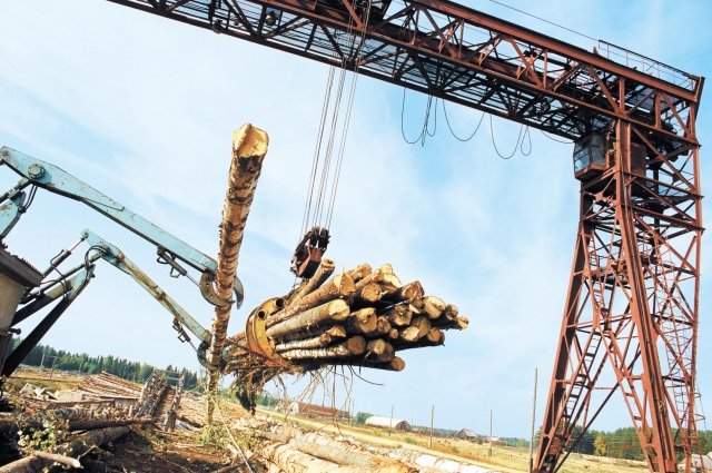 В регионе предприятия используют около 10 млн кубометров лесостепи. 