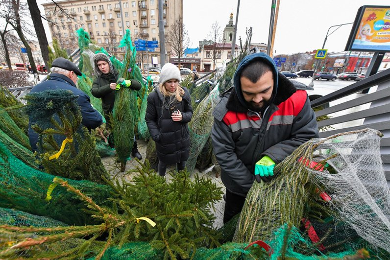 Работа елочного базара на улице Земляной вал.