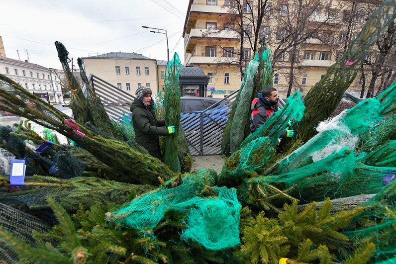 Работа елочного базара на улице Земляной вал.