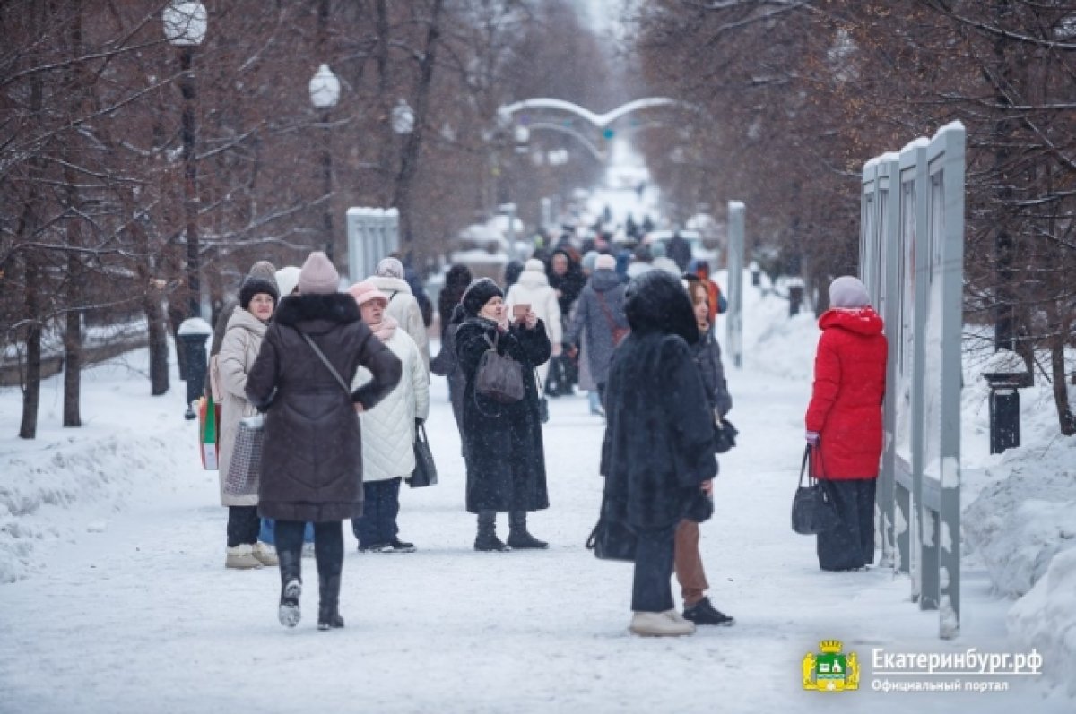 Новая аллея педагогов появилась в центре Екатеринбурга | АиФ Урал