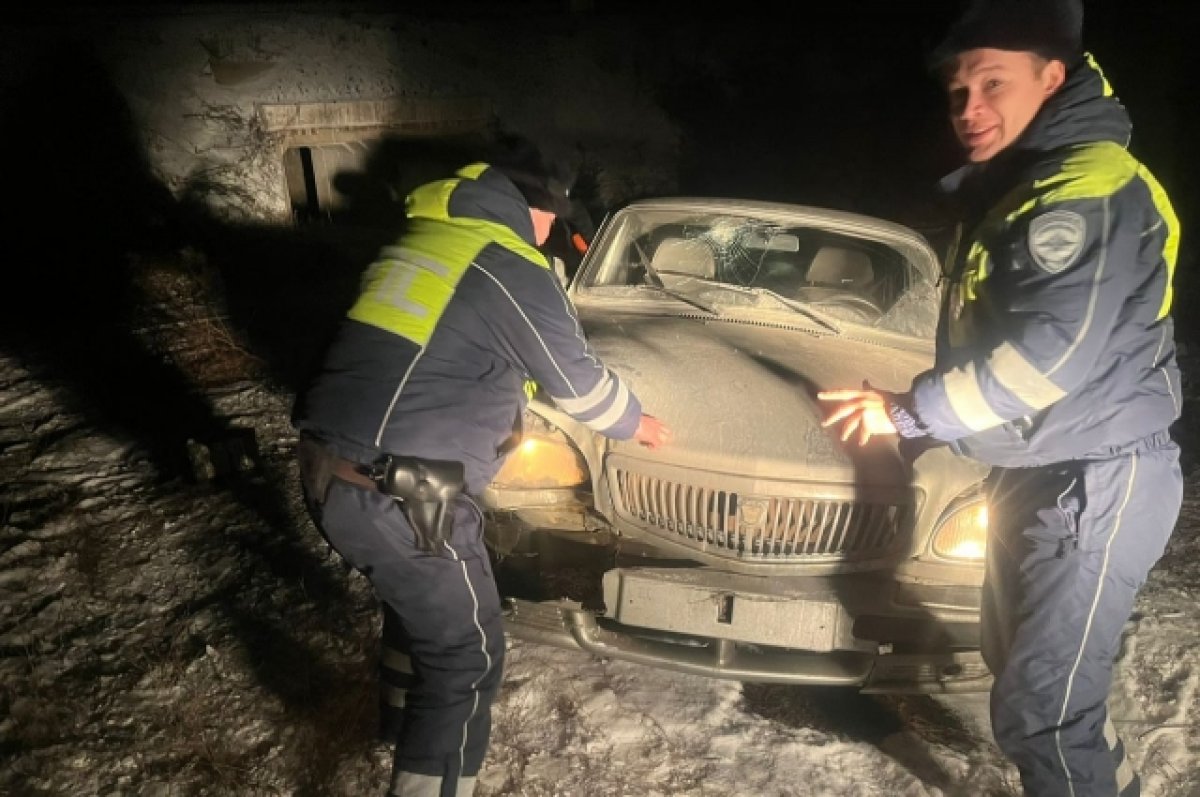 В Сакмарском районе полицейские спасли водителя из снежного плена | АиФ  Оренбург