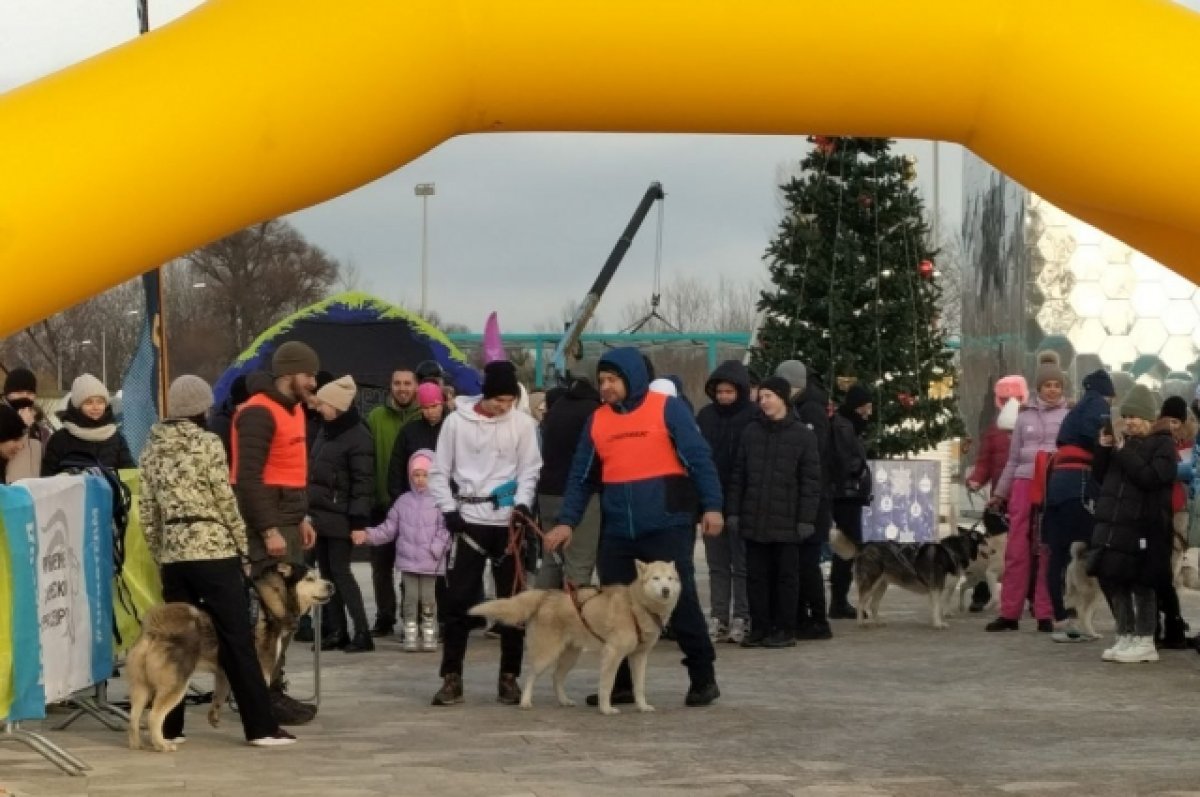 В Белгороде состоялся ежегодный спортивный семейный забег «Хаски — Trail» |  АиФ Белгород