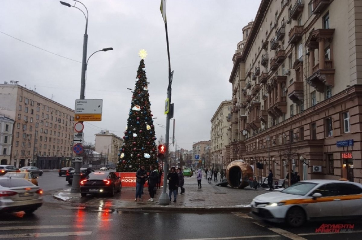 Елочка, гори! В Москве зажгли «транспортную» елку
