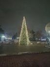 В центре города зажгли елку. Новогодняя красавица сверкает разными цветами, а на вершине сияет звезда. 