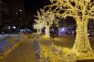 В центре города поставили яркие световые деревья.