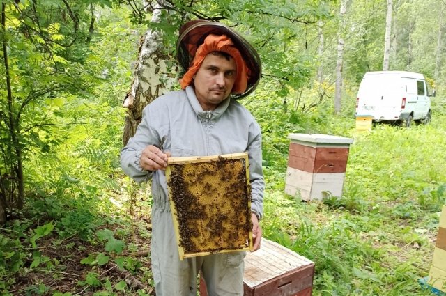 У каждой породы пчёл свой характер — есть добрые и злые. Более дружелюбные это южные породы, суровее — наши сибирские. 
