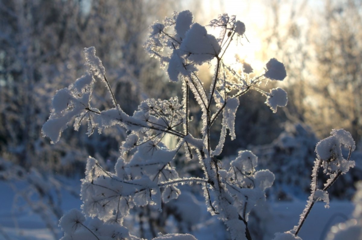 Синоптик Тишковец предупредил о приходе настоящей русской зимы в январе