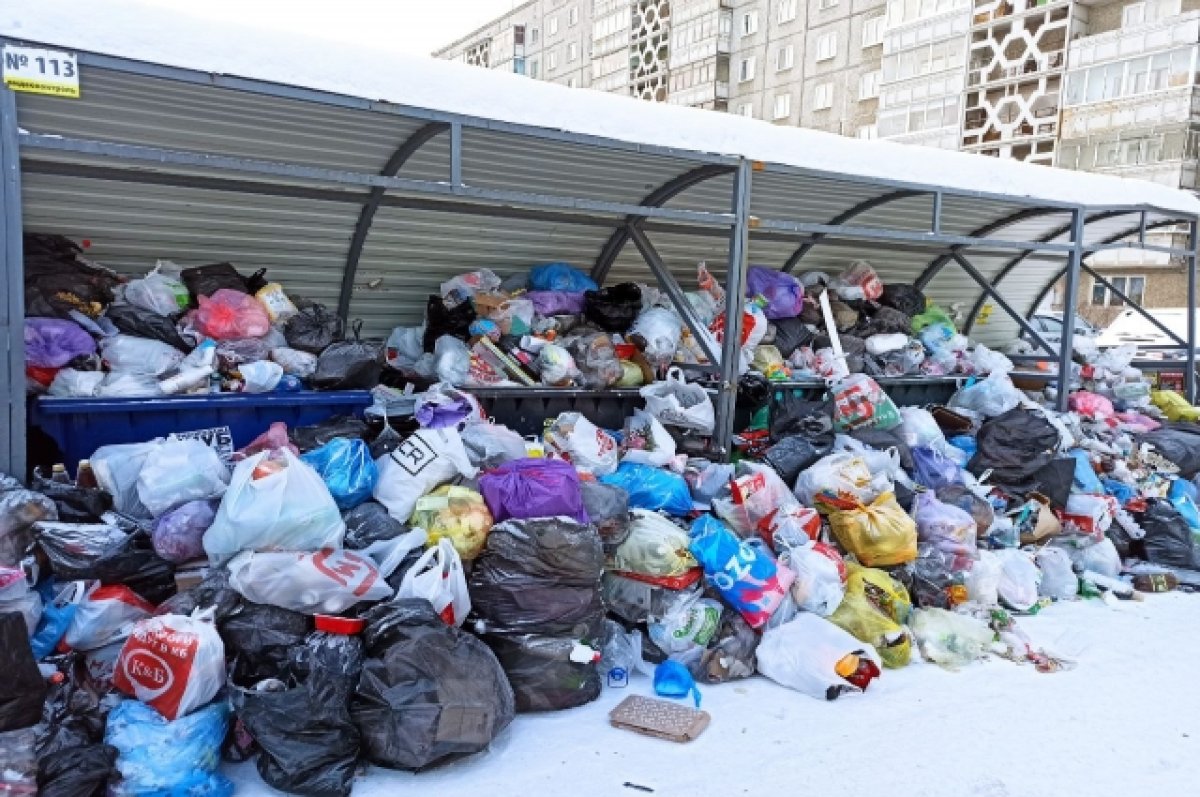 Жителям Калининграда сообщили, куда жаловаться на вывоз мусора в праздники  | АиФ Калининград