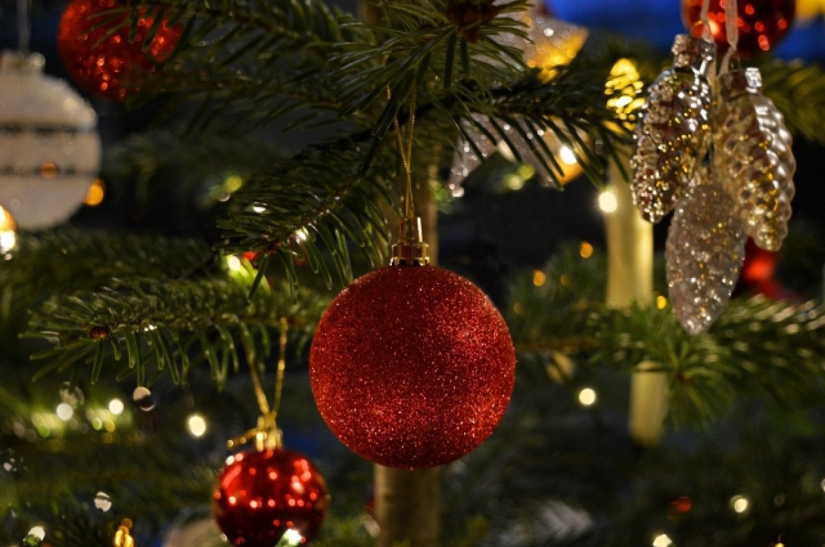Руководители Брянской области поздравили жителей с Новым годом и Рождеством