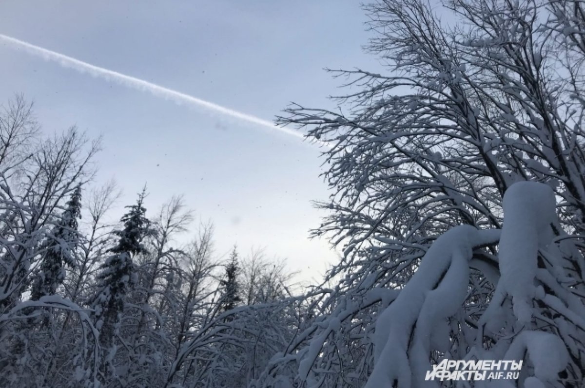 На Алтае 4 января похолодает до -22 градусов