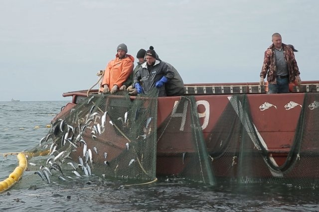 Край получиться