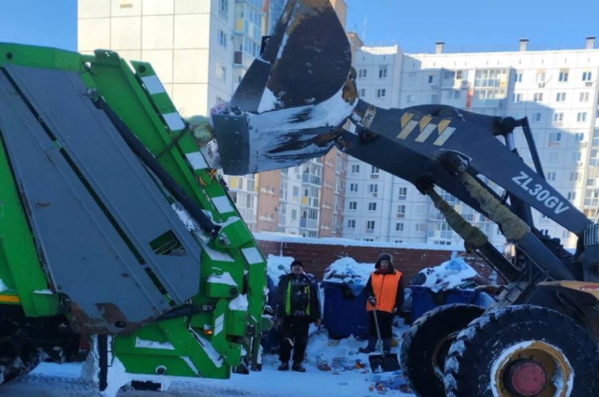 Власти начали решать проблему с вывозом мусора во Владимире | АиФ Владимир