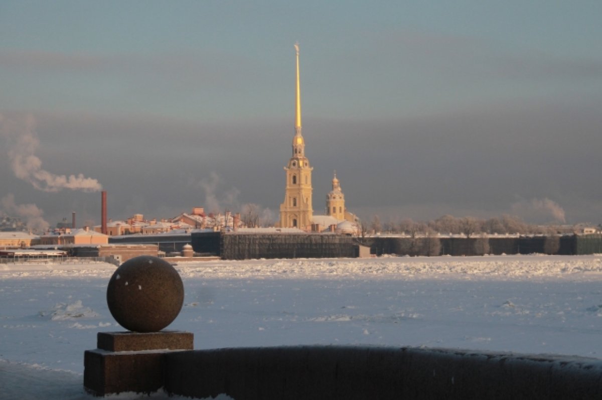 Общества петербурга