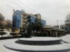 Утром 8 января в Ростове пошел долгожданный снег.