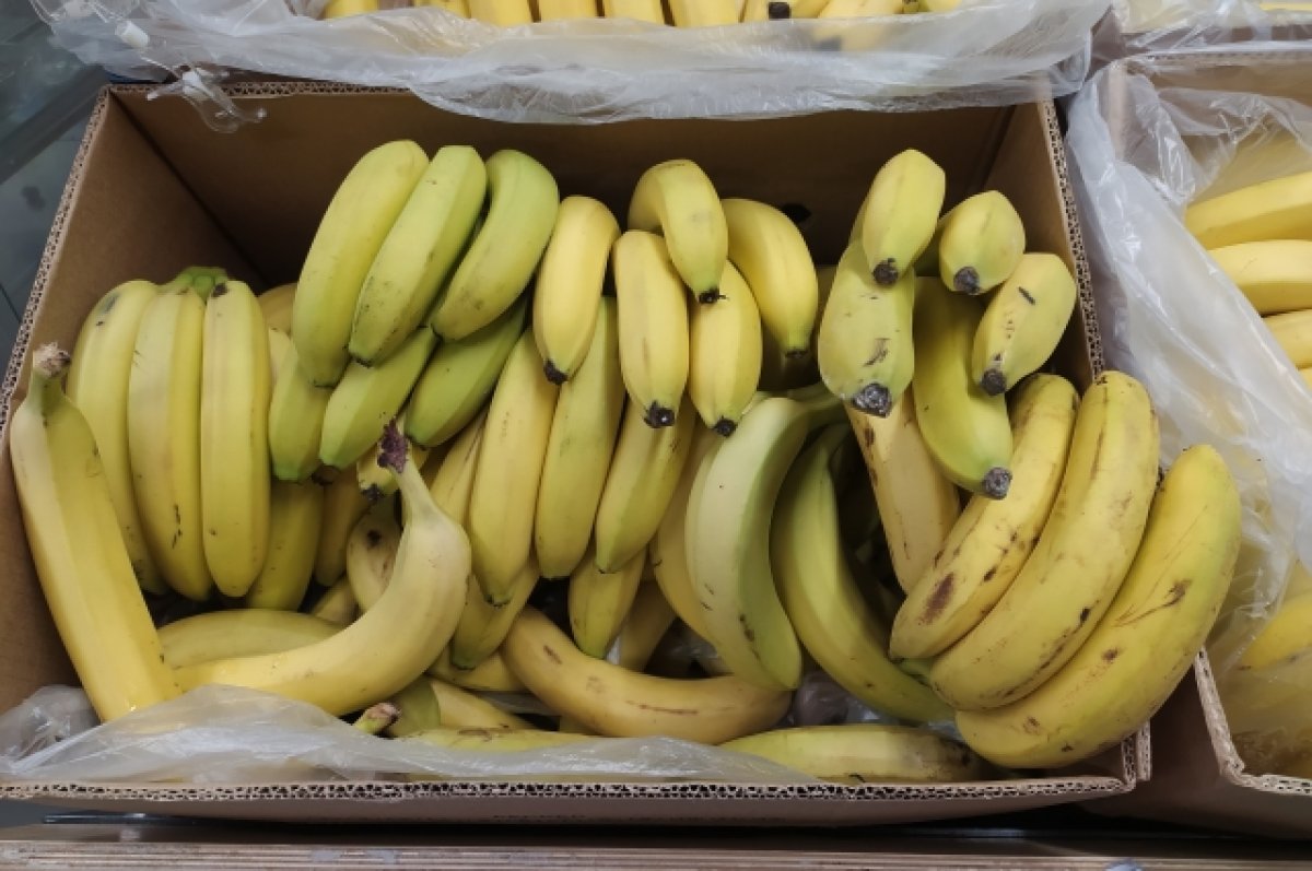Ягода из Африки. Кризис в Эквадоре повысит ценность бананов в России