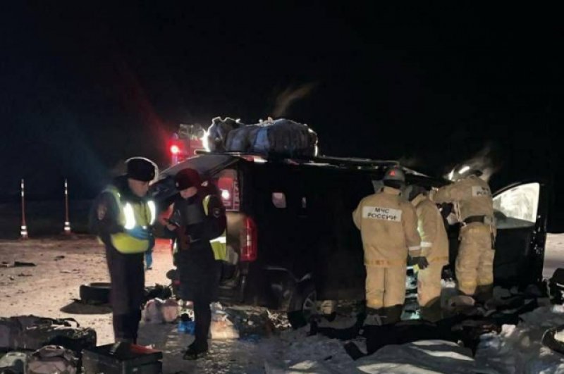 СУ СК РФ по региону утверждает, что погибли семь человек, находившихся в микроавтобусе, в том числе и его водитель. Еще двое пассажиров госпитализированы с ранениями.