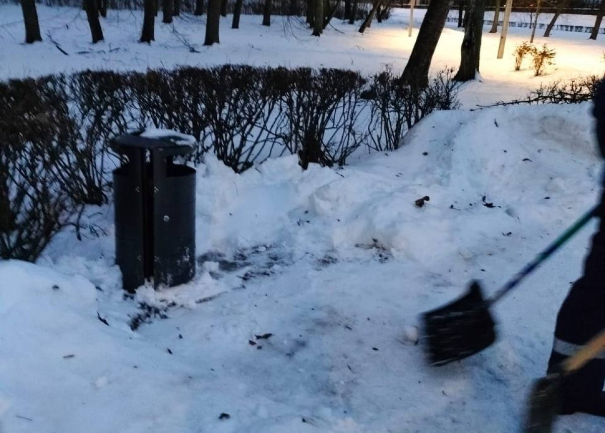 Две скамейки украли из парка на набережной в Великих Луках | АиФ Псков