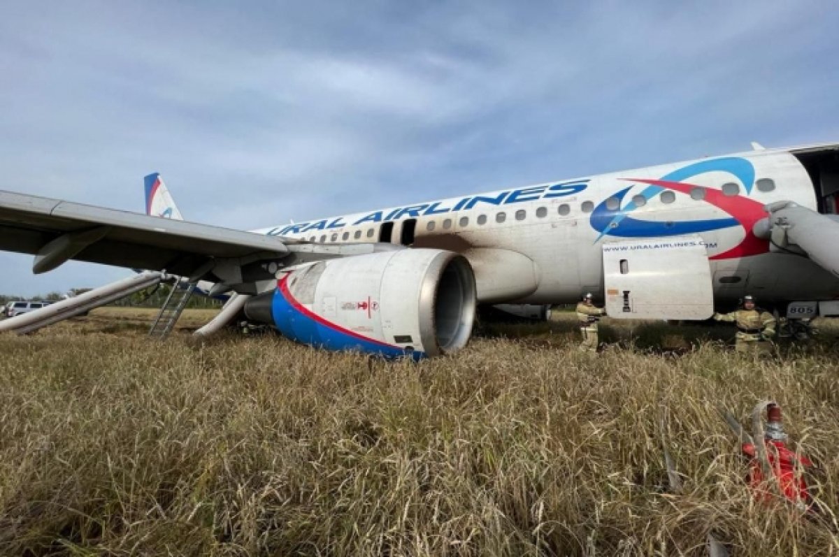 В Убинском районе уже забыли про самолёт Сочи - Омск, который стоит в поле  | АиФ Омск