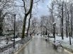 А взрослые достают зонты— снег очень быстро тает. В конце января синоптики снова прогнозируют осадки в виде снега и минусовую температуру. 
