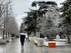 Средняя температура зимой +5 градусов. Самая низкая температура, зафиксированная в Севастополе в январе, составляла -20 градусов. 
