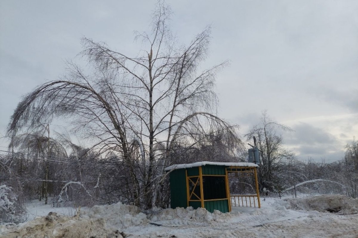 В булочную на такси. Нижегородцы жалуются на работу сельских автобусов |  АиФ Нижний Новгород