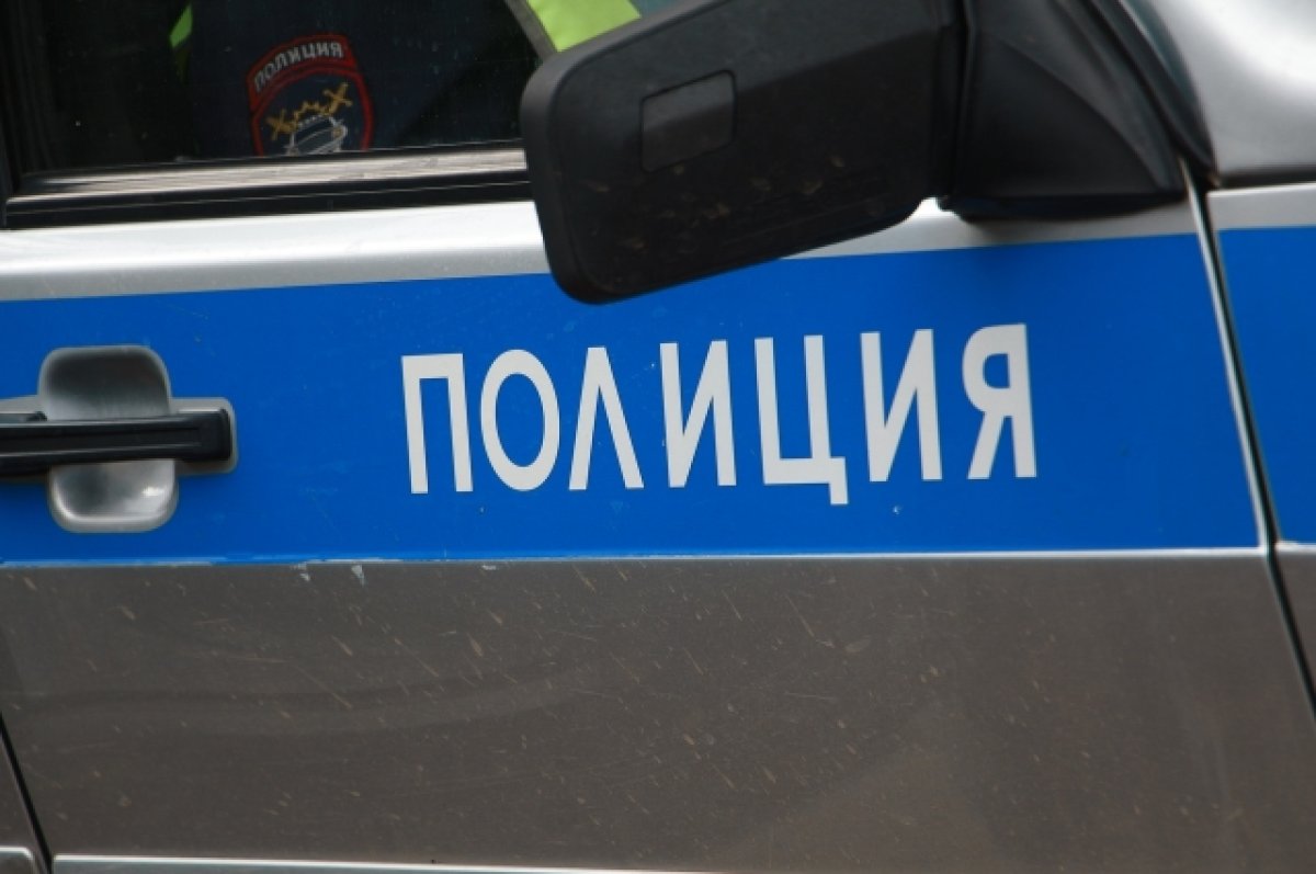 В Барнауле возбудили дело против водителя «КамАЗа», который сбил ребенка