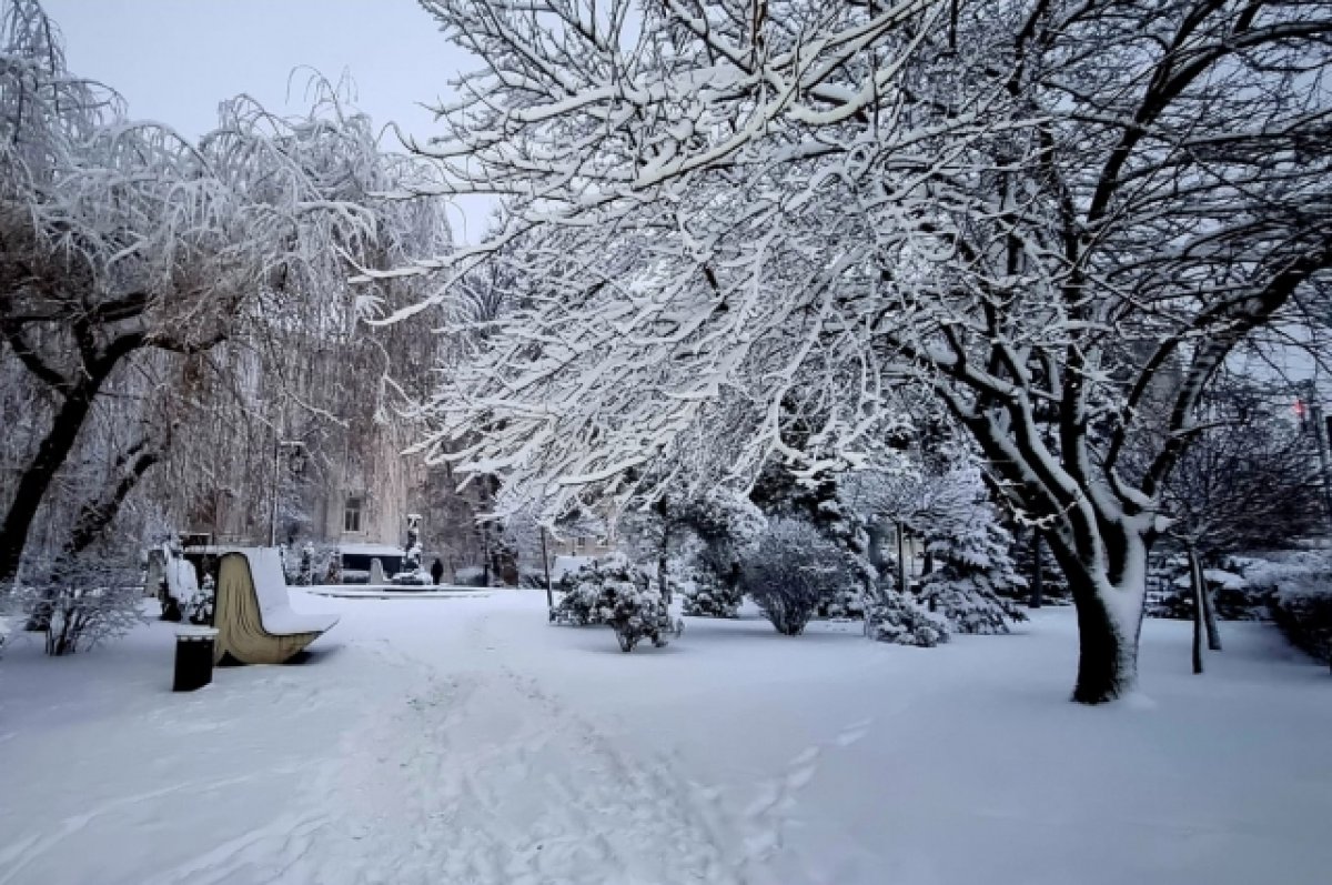 В Ростове 15 января пойдёт снег с дождём