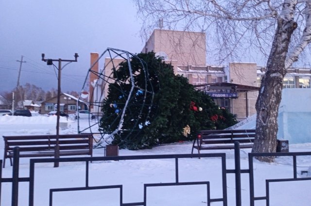 Ветер снёс ёлку в Богучанах Красноярского края.