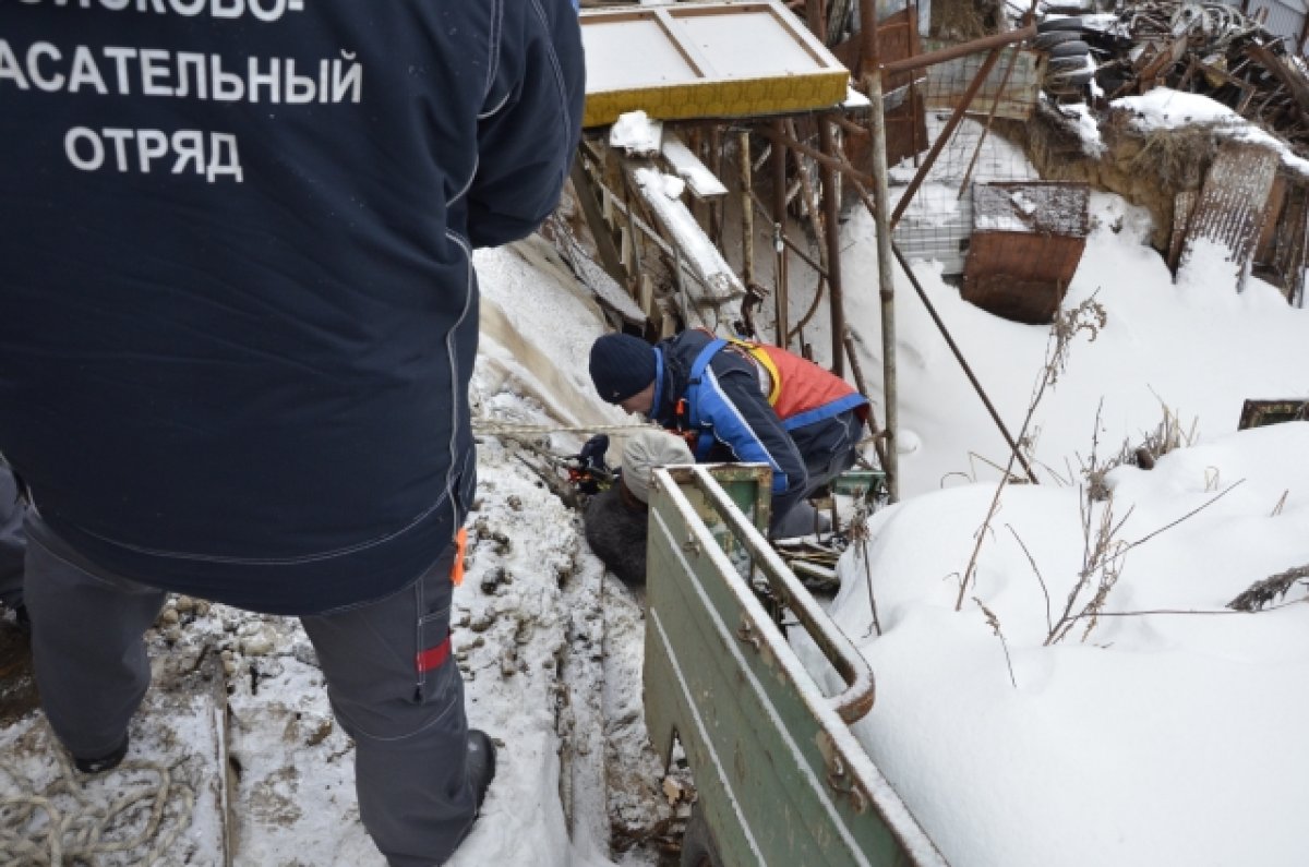 Камчатка происшествия сегодня новости последние