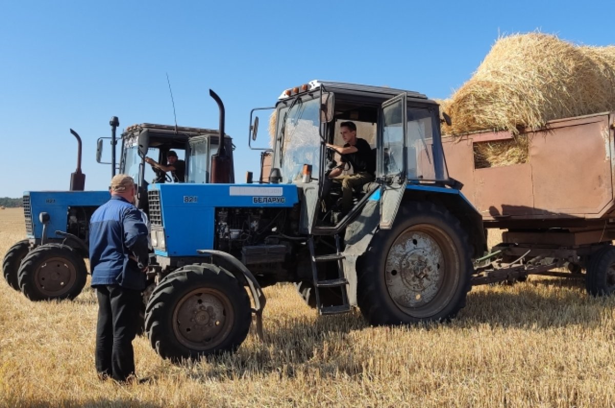 В Ростовской области увеличат поддержку аграриев