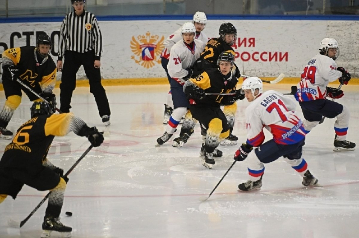 Брянские хоккеисты обменялись победами с череповецким «Металлургом»