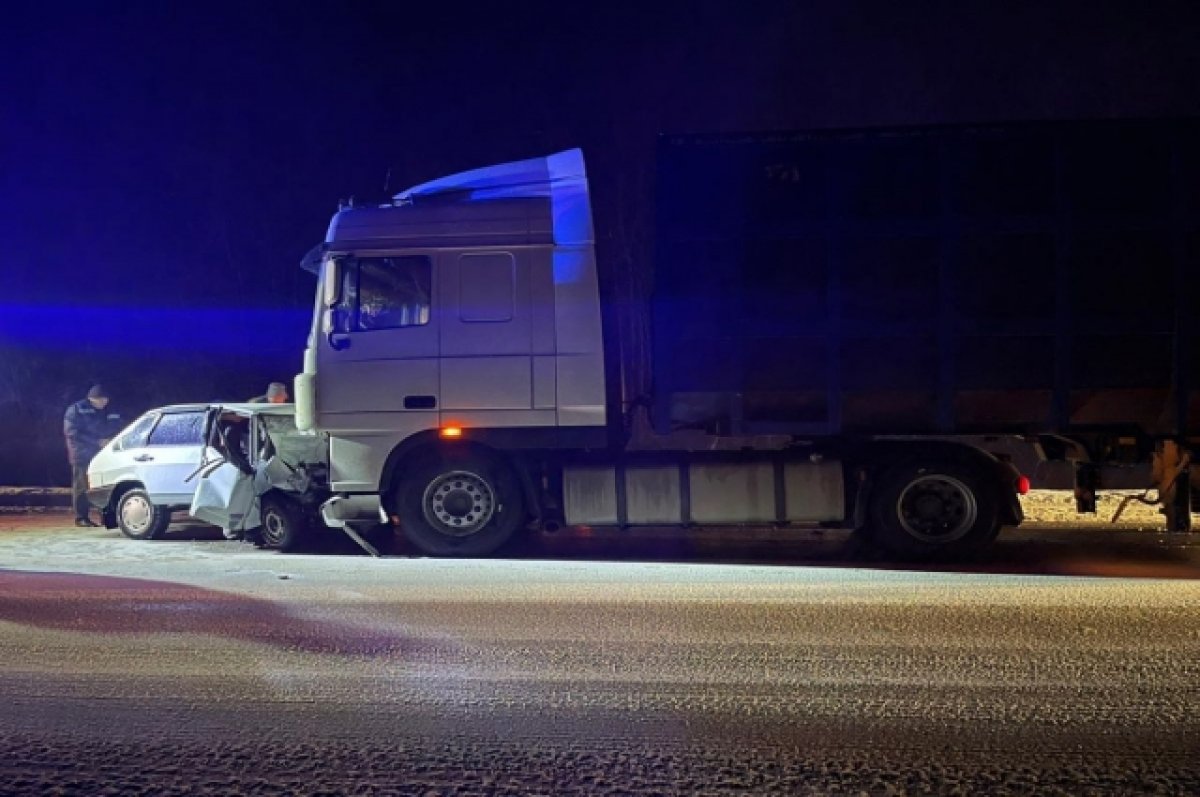 В Воронежской области в аварии с большегрузом погиб пенсионер | АиФ Воронеж