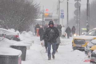 Синоптик Тишковец: за сутки в Москве выпало 25% от месячной нормы снега