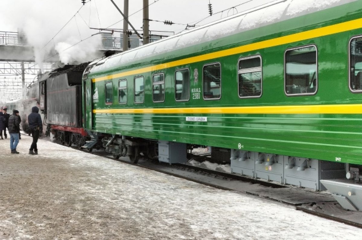 В Кирове сотни добровольцев ищут выброшенного из поезда кота Твикса