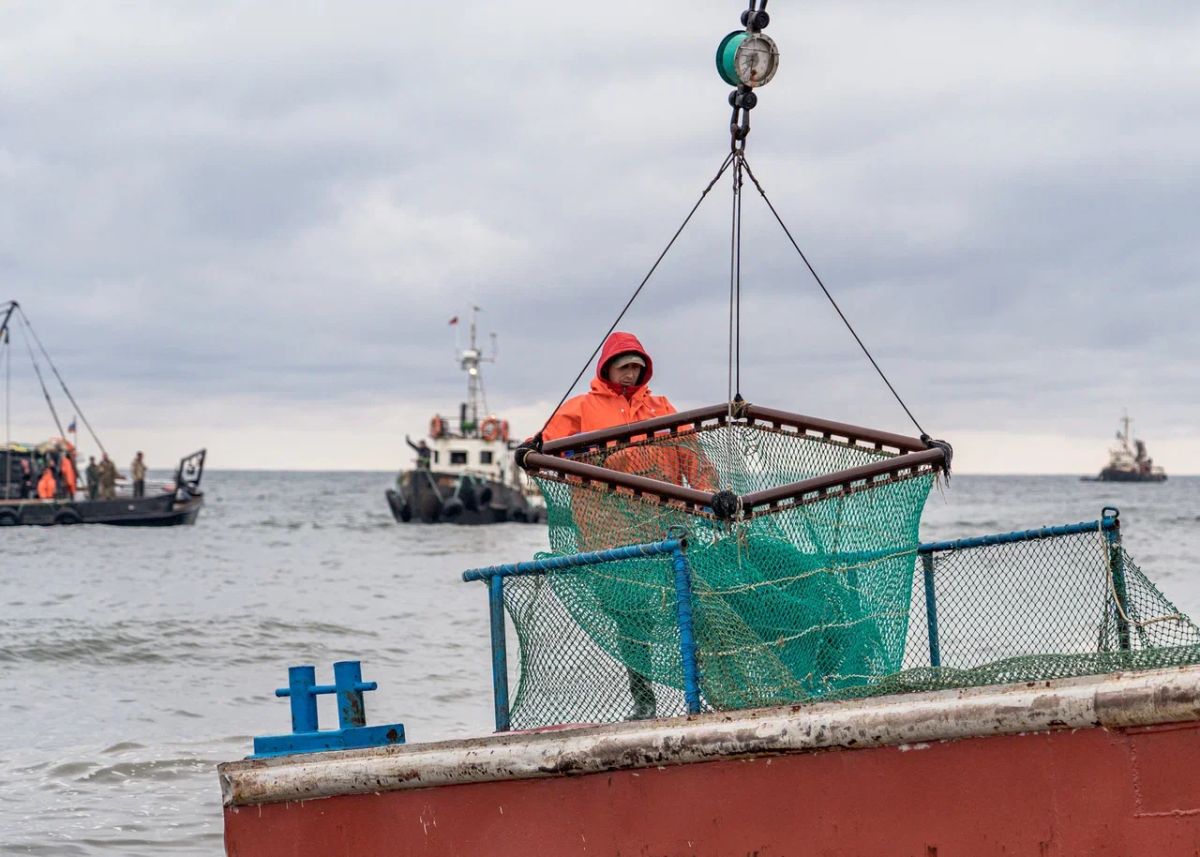 Депутат Гутенев назвал уроком для Великобритании запрет на вылов рыбы в РФ