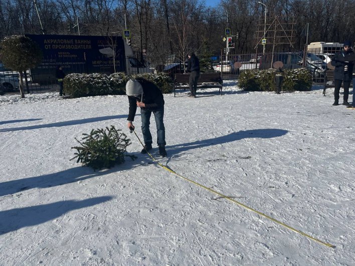 В метании ёлок состязались 73 ростовчанина.