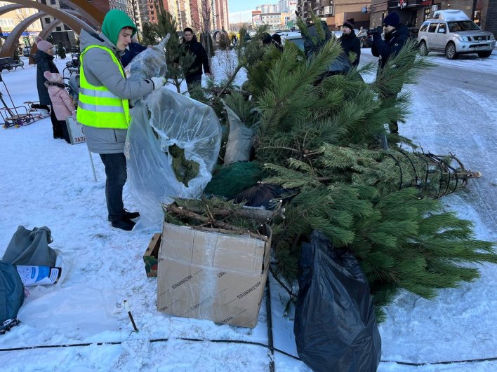 Горожане принесли в сквер отслужившие своё на праздниках новогодние ёлки, которые отправят на сортировку.