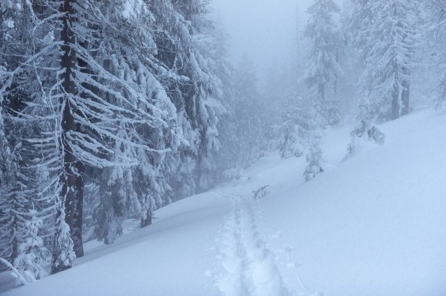 Высота снежного покрова в республике увеличилась на высоту от 11 до 34 сантиметров. 