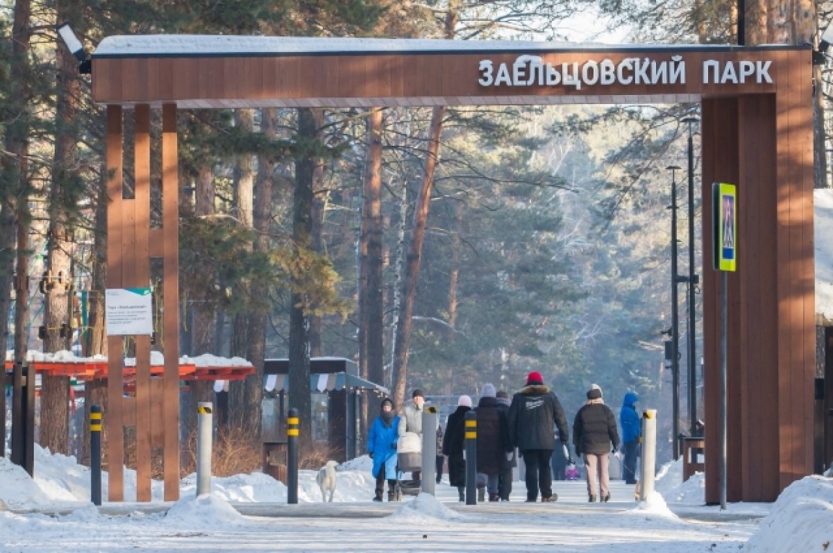 Лечебный воздух и детская зона: 15 фото новосибирцев в Заельцовском парке |  АиФ Новосибирск