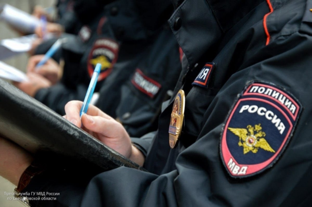 Депутат ГД Стенякина обратилась в полицию из-за гумпомощи на свалке в ДНР