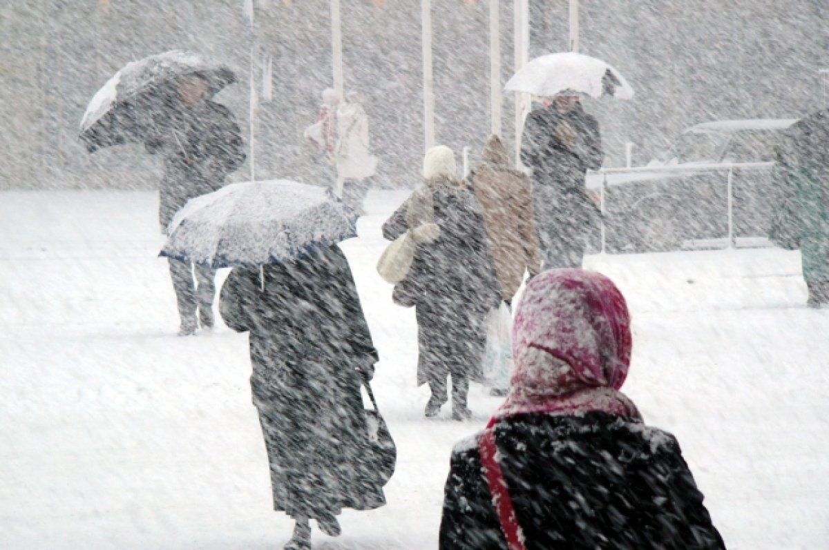 Снегопад, оттепель и гололедица. Погода в Москве вот-вот сойдет с ума